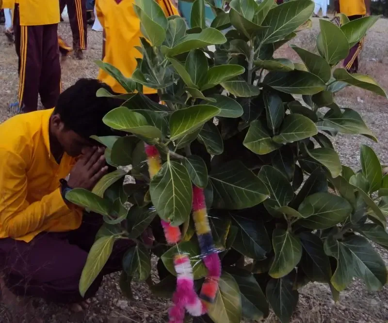 peace-prayer-in-jadan-ashram bodyImage